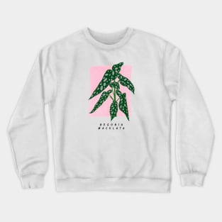 Begonia maculata Crewneck Sweatshirt